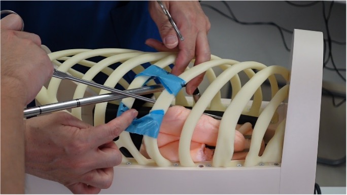 胸郭モデルを用いてシミュレーションを行っている様子の別角度からの写真